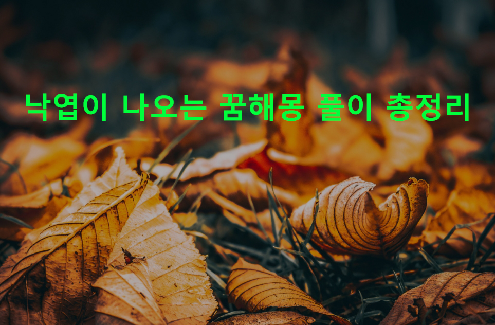 낙엽이 나오는 꿈해몽 풀이 총정리