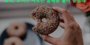 도넛, 도너츠 나오는 꿈해몽 풀이 총정리