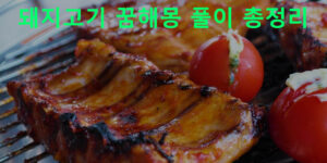 돼지고기 꿈해몽 풀이 총정리