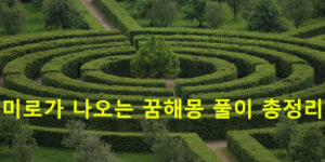 미로가 나오는 꿈해몽 풀이 총정리