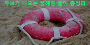 튜브가 나오는 꿈해몽 풀이 총정리