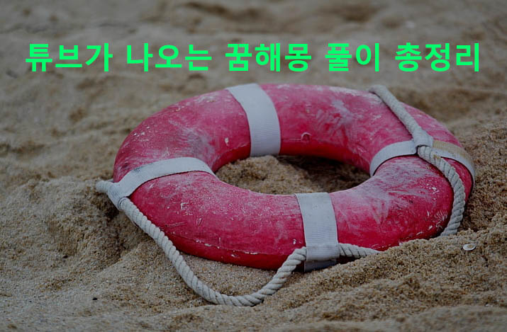 튜브가 나오는 꿈해몽 풀이 총정리