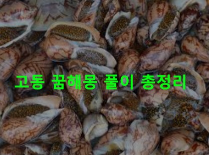 고동 꿈해몽 풀이 총정리