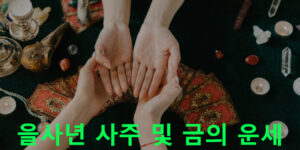 을사년 사주 및 금의 운세