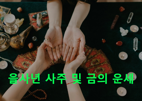 을사년 사주 및 금의 운세