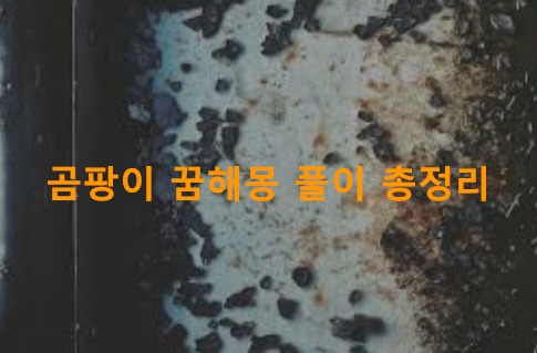곰팡이 꿈해몽 풀이 총정리