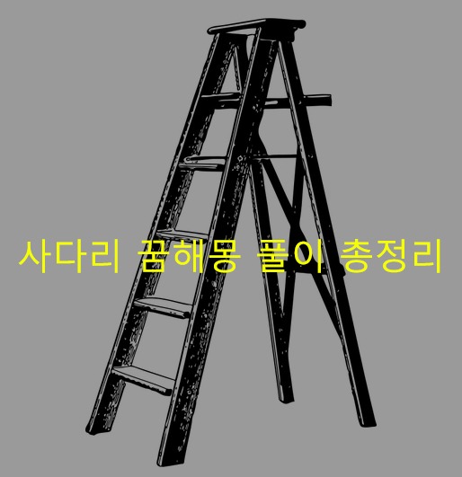 사다리 꿈해몽 풀이 총정리