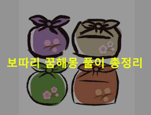 보따리 꿈해몽 풀이 총정리
