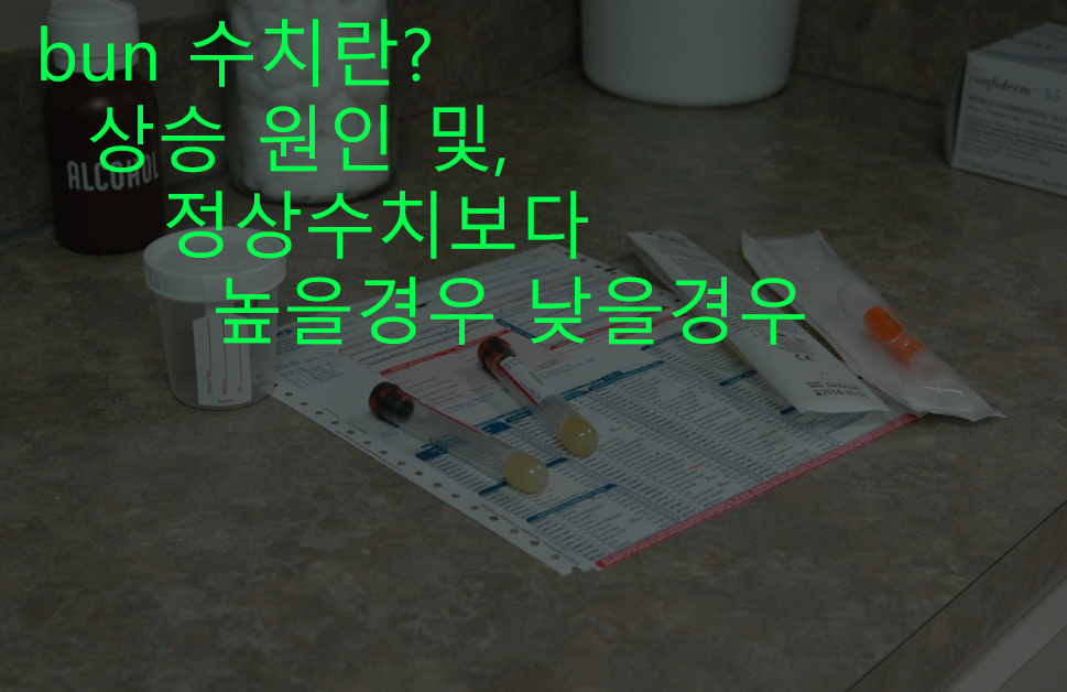 bun 수치란? 상승 원인 및, 정상수치보다 높을경우 낮을경우