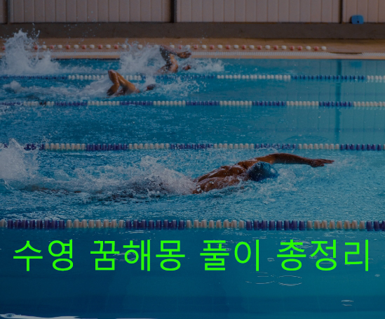 수영 꿈해몽 풀이 총정리