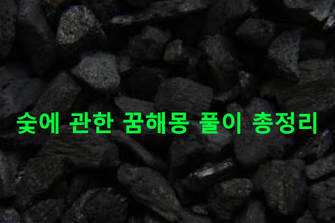 숯에 관한 꿈해몽 풀이 총정리