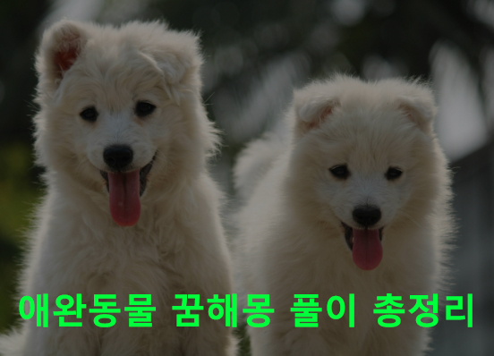 애완동물 꿈해몽 풀이 총정리