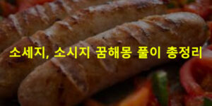 소세지, 소시지 꿈해몽 풀이 총정리