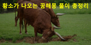 황소가 나오는 꿈해몽 풀이 총정리