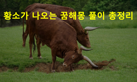 황소가 나오는 꿈해몽 풀이 총정리