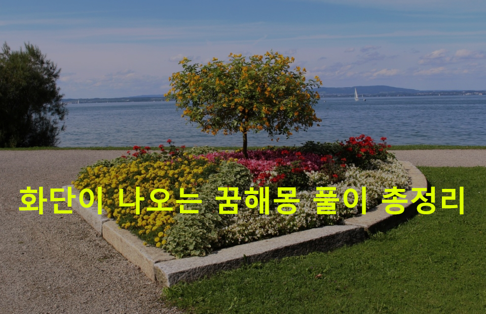 화단이 나오는 꿈해몽 풀이 총정리
