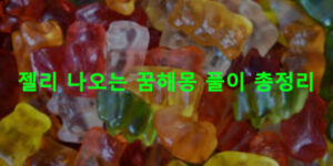 젤리 나오는 꿈해몽 풀이 총정리