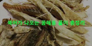 북어가 나오는 꿈해몽 풀이 총정리