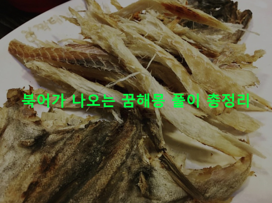 북어가 나오는 꿈해몽 풀이 총정리