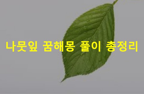 나뭇잎 꿈해몽 풀이 총정리