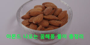 아몬드 나오는 꿈해몽 풀이 총정리