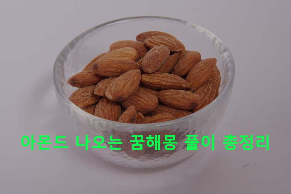 아몬드 나오는 꿈해몽 풀이 총정리