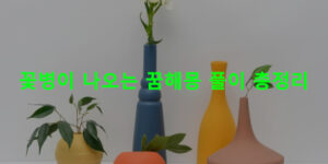 꽃병이 나오는 꿈해몽 풀이 총정리