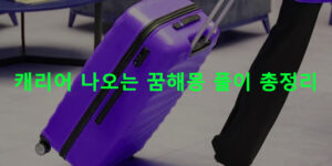 캐리어 나오는 꿈해몽 풀이 총정리