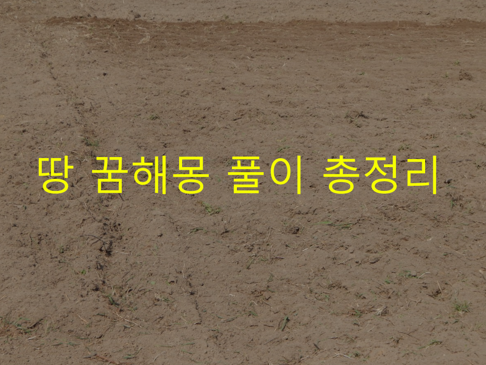 땅 꿈해몽 풀이 총정리