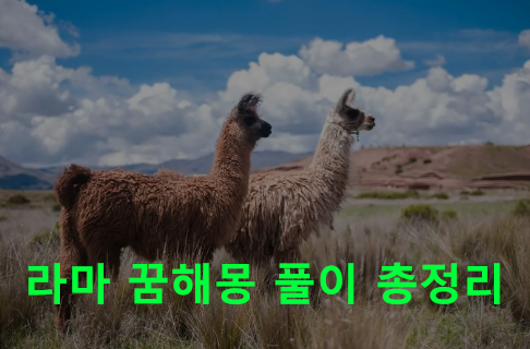 라마 꿈해몽 풀이 총정리