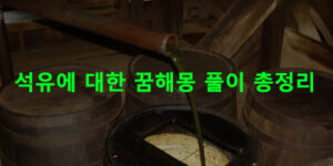 석유에 대한 꿈해몽 풀이 총정리