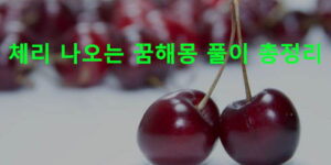 체리 나오는 꿈해몽 풀이 총정리