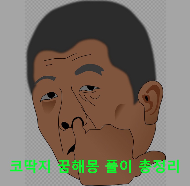 코딱지 꿈해몽 풀이 총정리