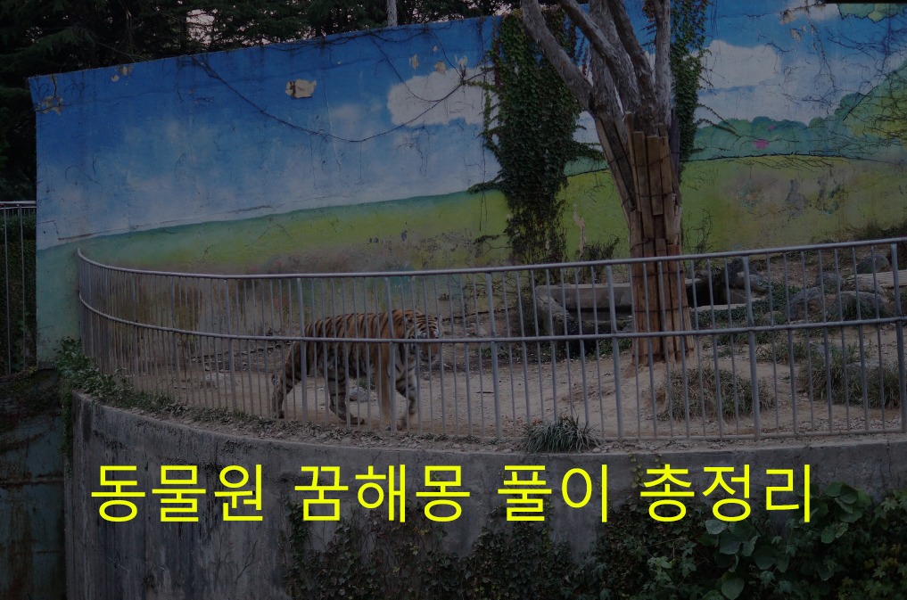 동물원 꿈해몽 풀이 총정리