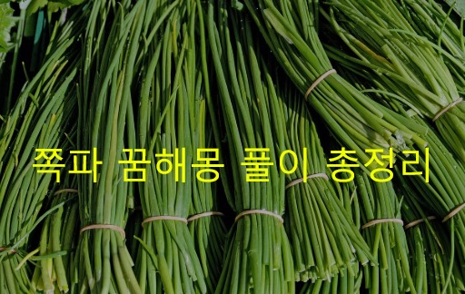 쪽파 꿈해몽 풀이 총정리