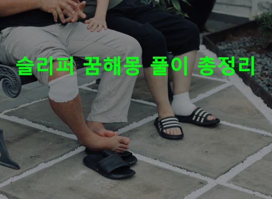 슬리퍼 꿈해몽 풀이 총정리