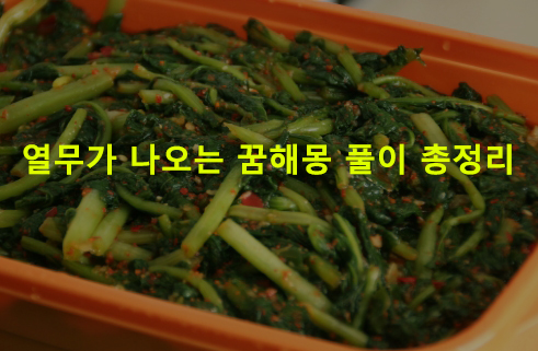 열무가 나오는 꿈해몽 풀이 총정리