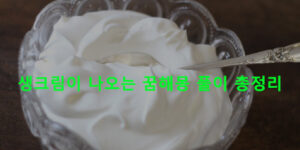 생크림이 나오는 꿈해몽 풀이 총정리
