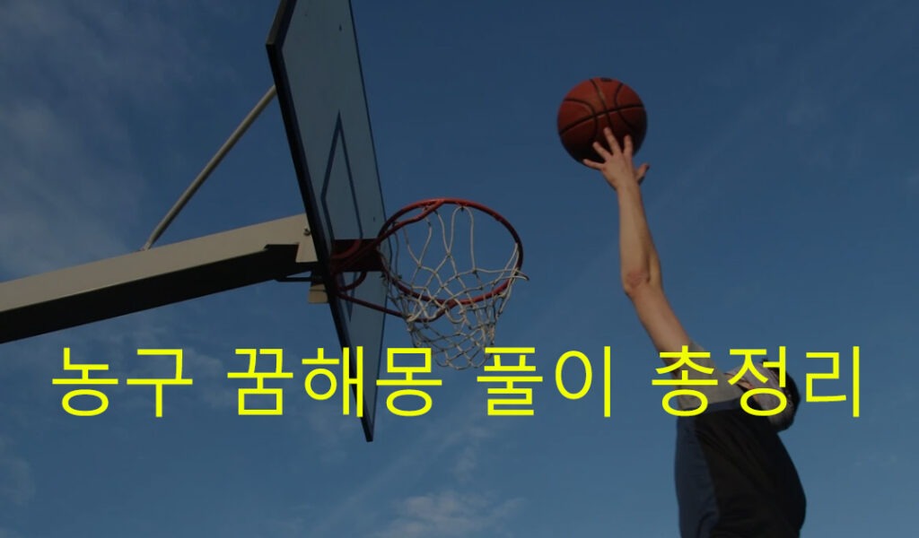 농구 꿈해몽 풀이 총정리