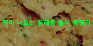 전이 나오는 꿈해몽 풀이 총정리