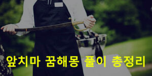 앞치마 꿈해몽 풀이 총정리