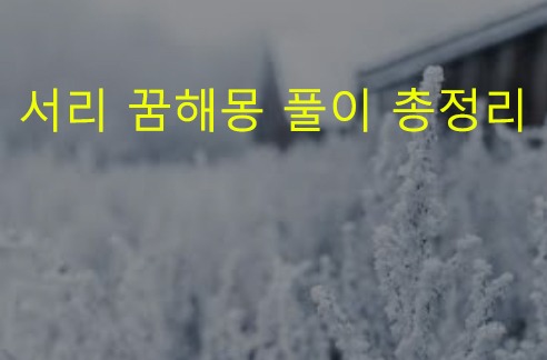 서리 꿈해몽 풀이 총정리