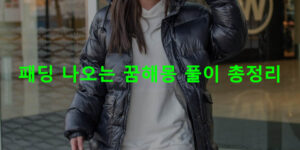 패딩 나오는 꿈해몽 풀이 총정리