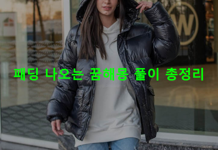 패딩 나오는 꿈해몽 풀이 총정리