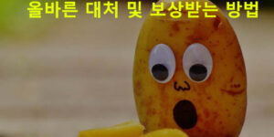 음식점에서 식중독 걸렸을 때, 올바른 대처 및 보상받는 방법
