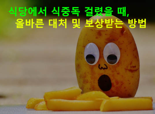 음식점에서 식중독 걸렸을 때, 올바른 대처 및 보상받는 방법