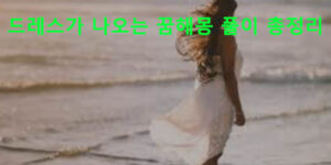 드레스가 나오는 꿈해몽 풀이 총정리