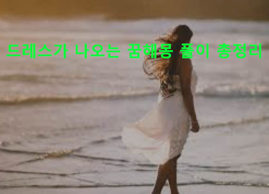 드레스가 나오는 꿈해몽 풀이 총정리