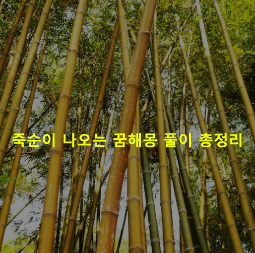 죽순이 나오는 꿈해몽 풀이 총정리