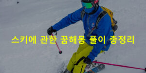 스키에 관한 꿈해몽 풀이 총정리